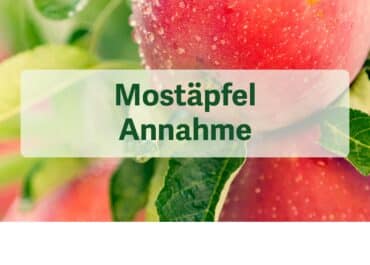 Mostäpfel-Annahme