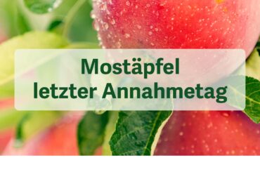 Ende Mostäpfel Annahme